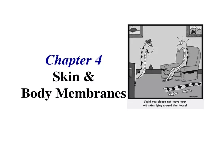 chapter 4 skin body membranes