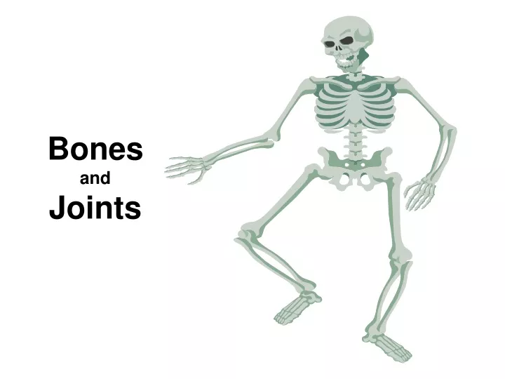 bones and joints
