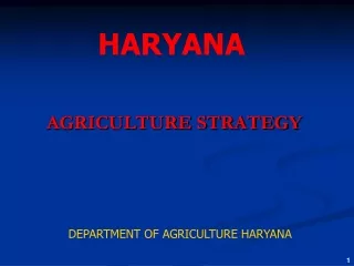 AGRICULTURE STRATEGY