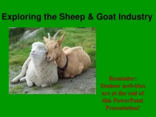 Exploring the Sheep &amp; Goat Industry