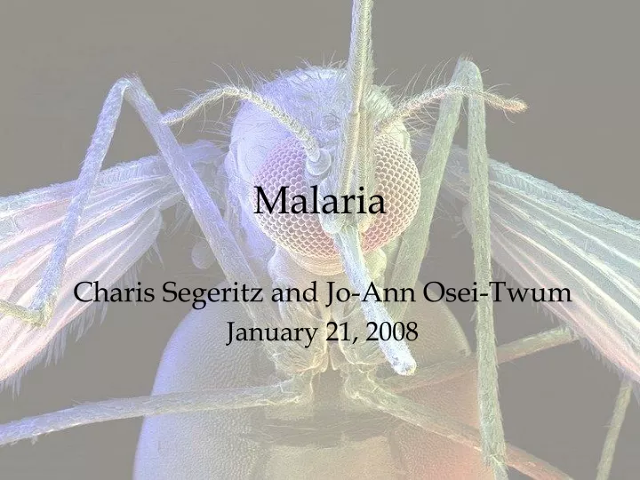 malaria