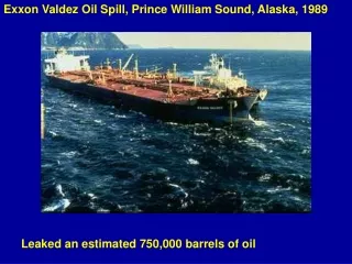 Exxon Valdez Oil Spill, Prince William Sound, Alaska, 1989