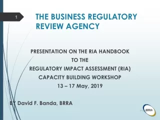 THE BUSINESS REGULATORY REVIEW AGENCY