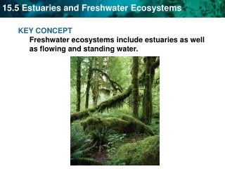 KEY CONCEPT  Freshwater ecosystems include estuaries as well as flowing and standing water.