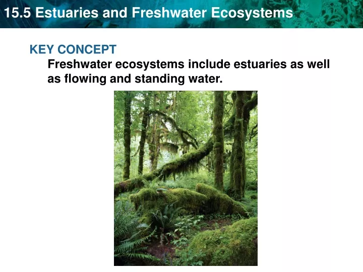 key concept freshwater ecosystems include
