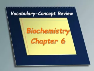 Vocabulary-Concept Review