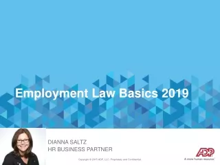 Employment Law Basics 2019