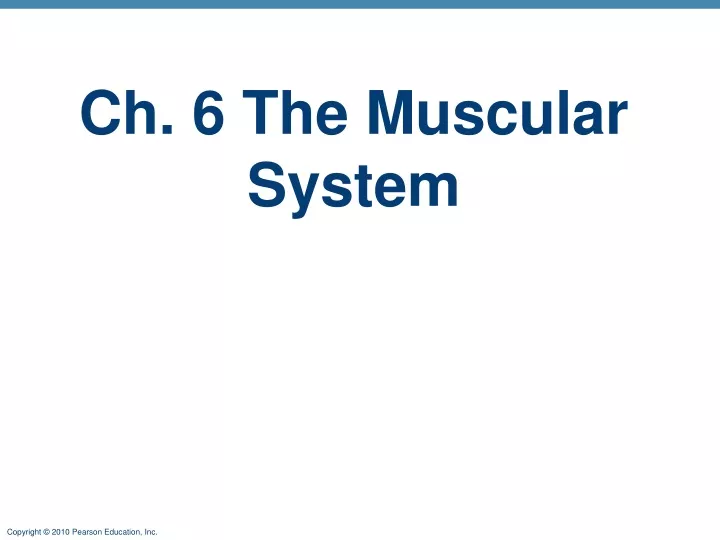 ch 6 the muscular system