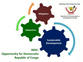 INDC:  Opportunity  for  Democratic Republic  of Congo