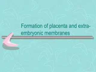 Formation of placenta and extra-embryonic membranes