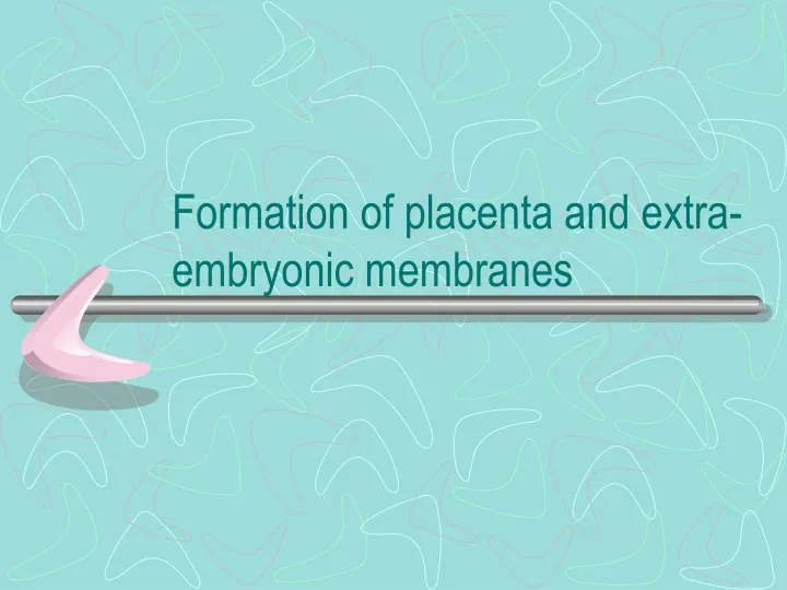 formation of placenta and extra embryonic membranes