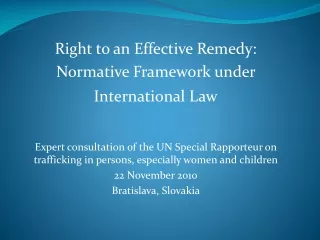 Right to an Effective Remedy:  Normative Framework under International Law