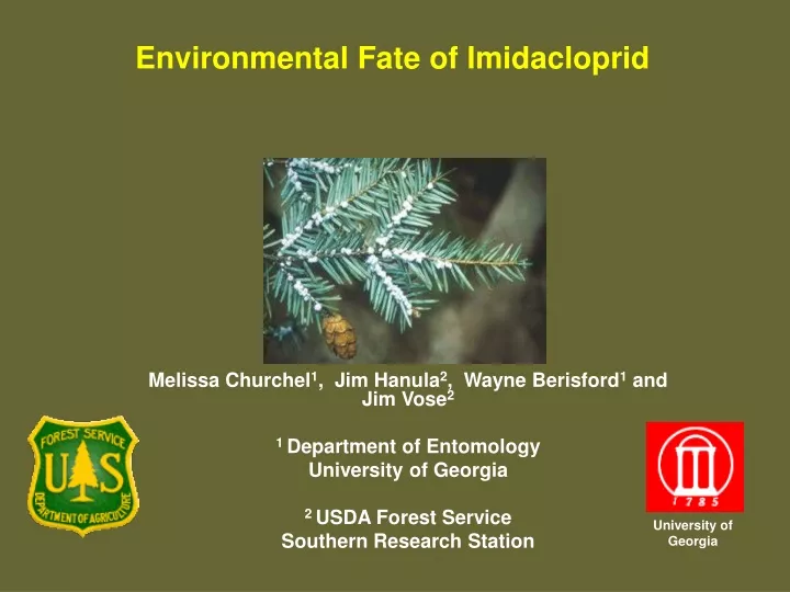 environmental fate of imidacloprid