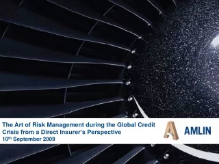 The Art of Risk Management during the Global Credit Crisis from a Direct Insurer’s Perspective