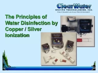 The Principles of Water Disinfection by Copper / Silver Ionization