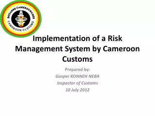 Implementation of a Risk Management System by Cameroon Customs