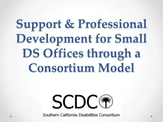Support &amp; Professional Development for Small DS Offices through a Consortium Model
