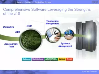 Comprehensive Software Leveraging the Strengths of the z10