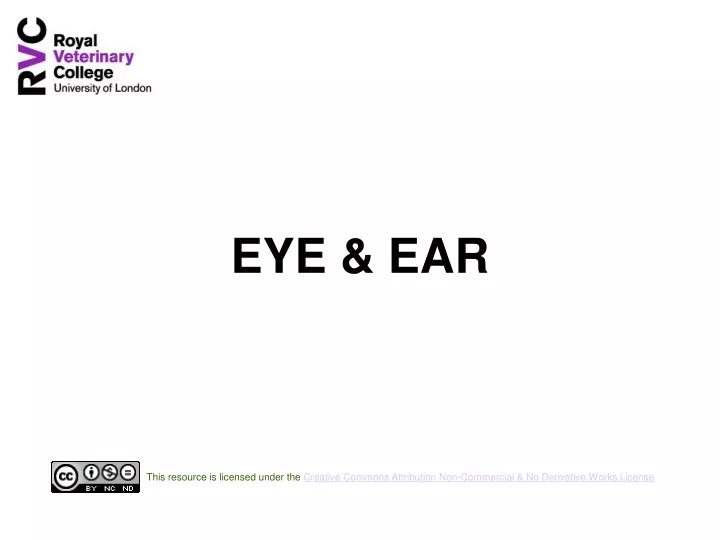 eye ear