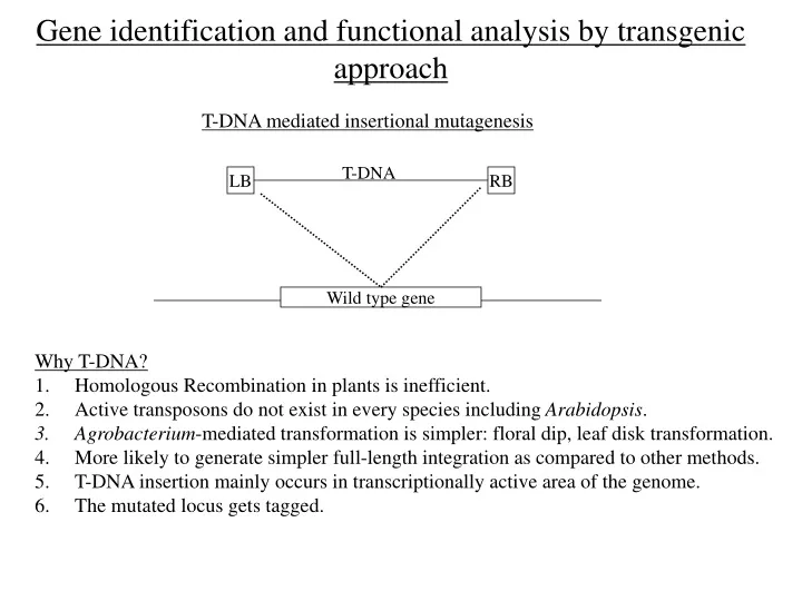 gene identification and functional analysis