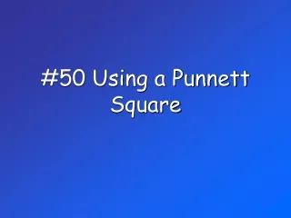 #50 Using a Punnett Square