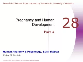 Pregnancy and Human Development Part A