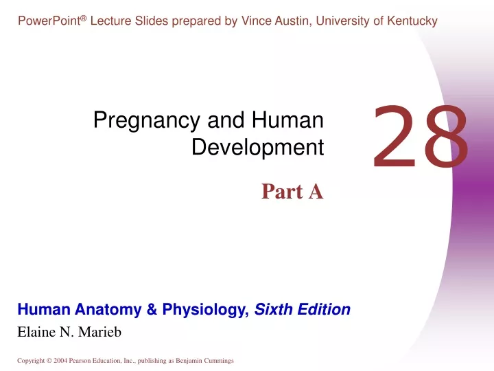 pregnancy and human development part a