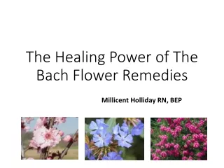 The Healing Power of The Bach Flower Remedies