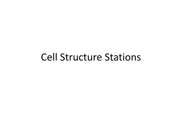 cell structure stations