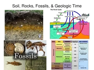 Soil, Rocks, Fossils, &amp; Geologic Time