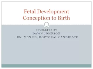 Fetal Development  Conception to Birth