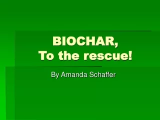 BIOCHAR,  To the rescue!
