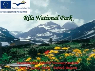 Rila National Park