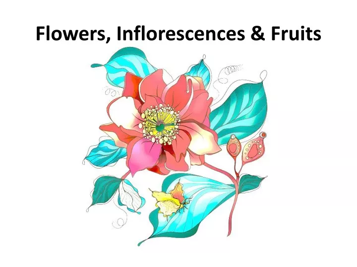flowers inflorescences fruits