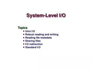 System-Level I/O