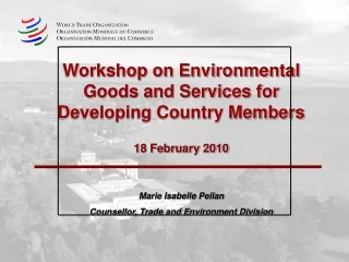 Workshop on Environmental Goods and Services for Developing Country Members 18 February 2010