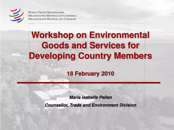 workshop on environmental goods and services for developing country members 18 february 2010