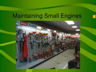 Maintaining Small Engines