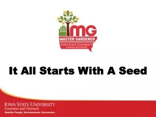 It All Starts With A Seed