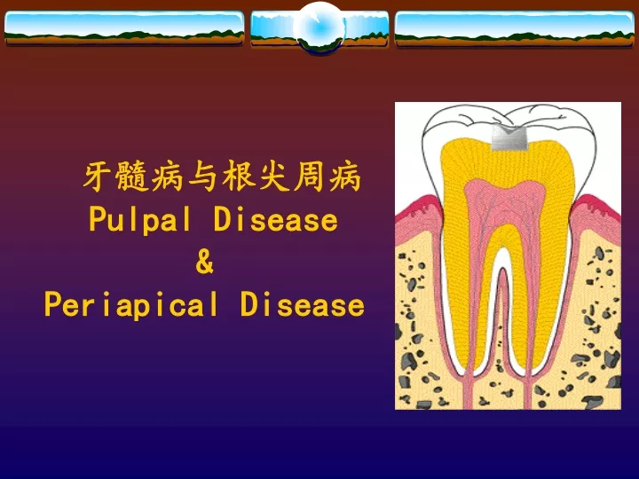 pulpal disease periapical disease