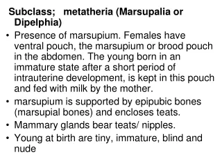 Subclass;   metatheria (Marsupalia or Dipelphia)