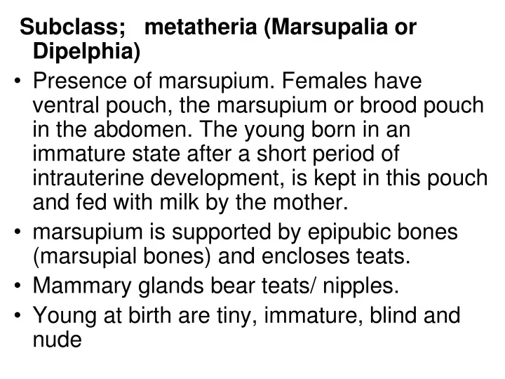 subclass metatheria marsupalia or dipelphia