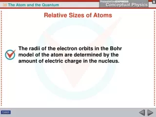 Relative Sizes of Atoms