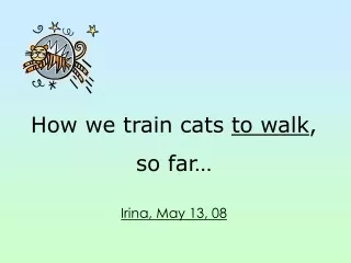How we train cats  to walk , so far… Irina, May 13, 08
