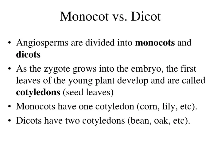 monocot vs dicot