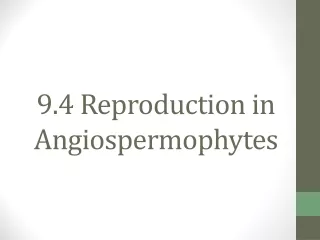 9.4 Reproduction in  Angiospermophytes