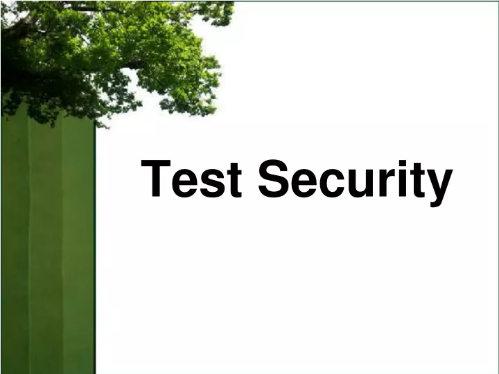 test security