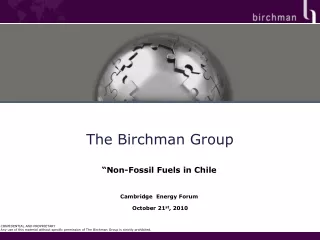 The Birchman Group