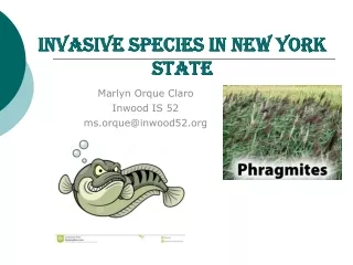 Invasive Species in New York State