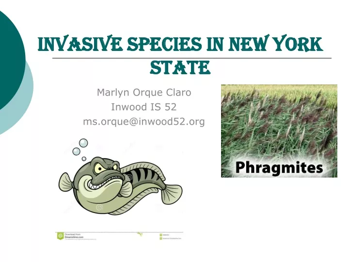 invasive species in new york state